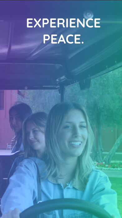 Zen Shuttles Screenshot