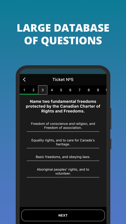 Canadian Citizenship 2024 Exam screenshot-6