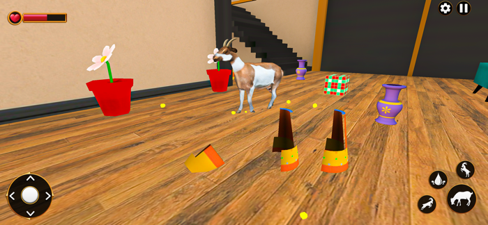 Animal Family Games Life