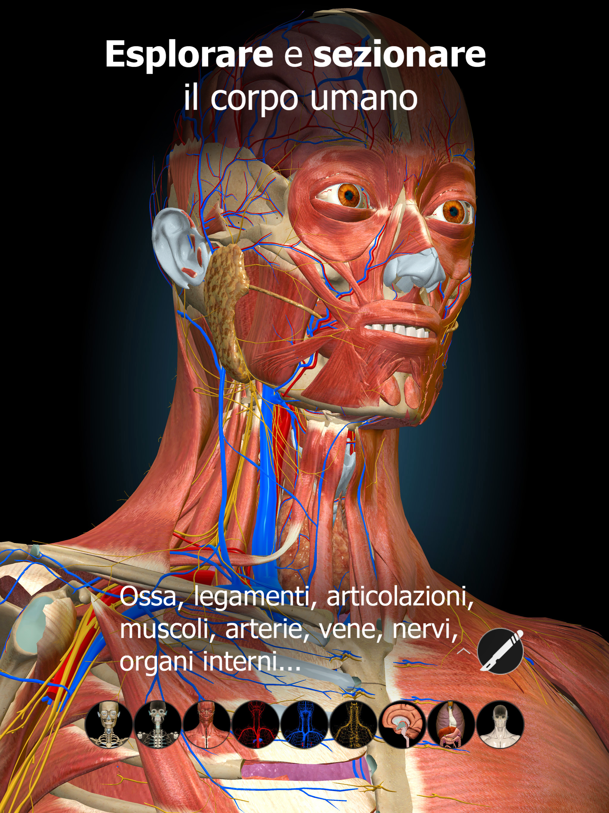 https://is1-ssl.mzstatic.com/image/thumb/PurpleSource126/v4/4d/ca/8d/4dca8de5-72ee-6a64-9676-592eb8e1dc4d/4aebd65e-b295-4d85-aaea-ceb925f2ffe6_1.jpg/2048x2732.png