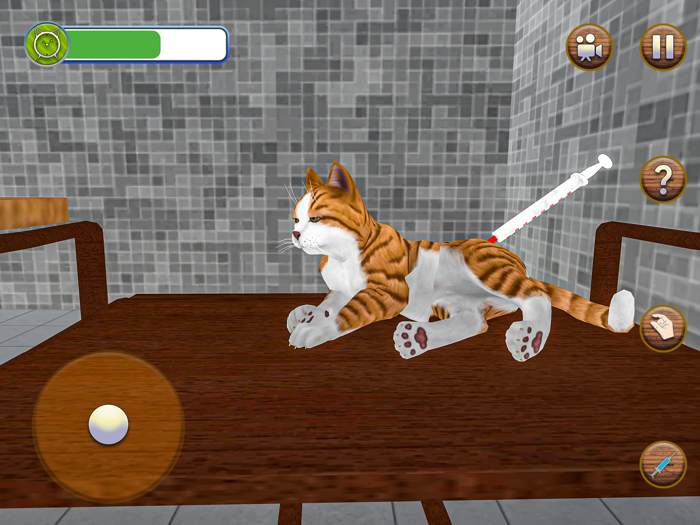 Animal Shelter Pet Cat Games