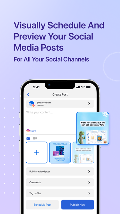 Vista Social Screenshot