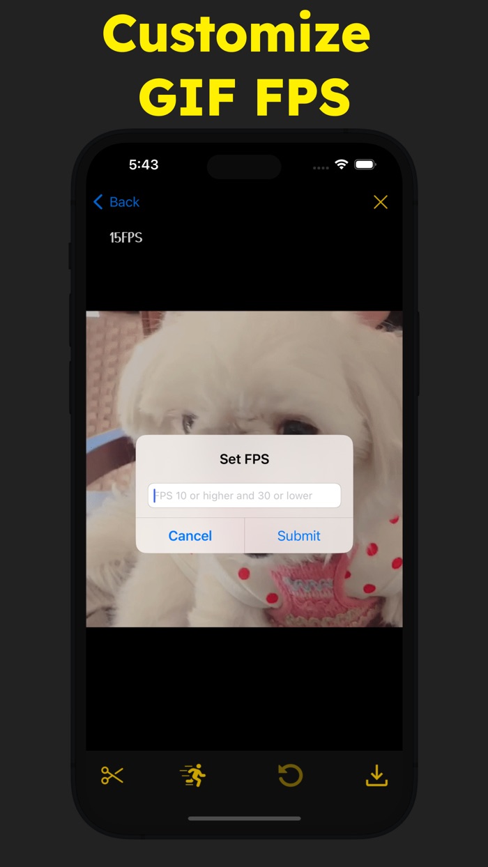 Simple GIF - GIF Maker