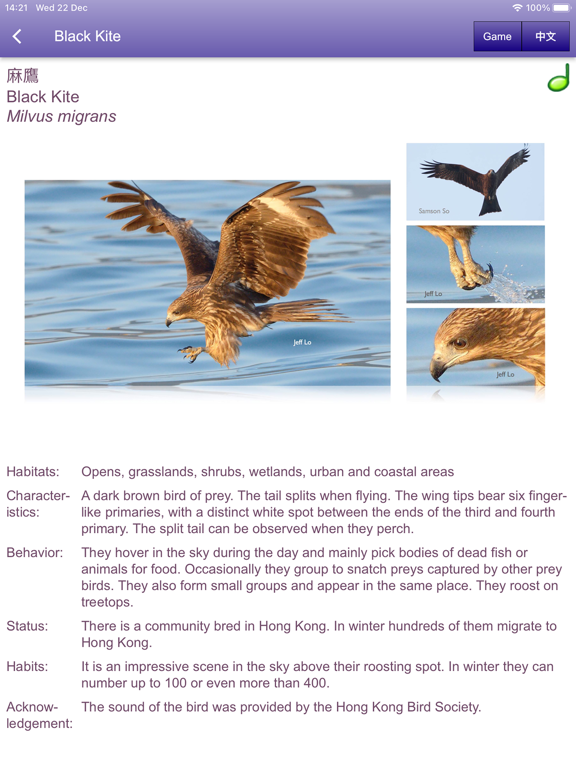 Screenshot #6 pour 中大鳥  Birds of CUHK