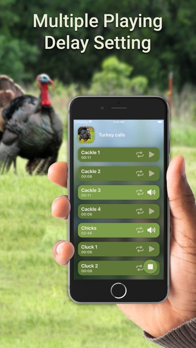 Hunting Calls: Turkey Screenshot