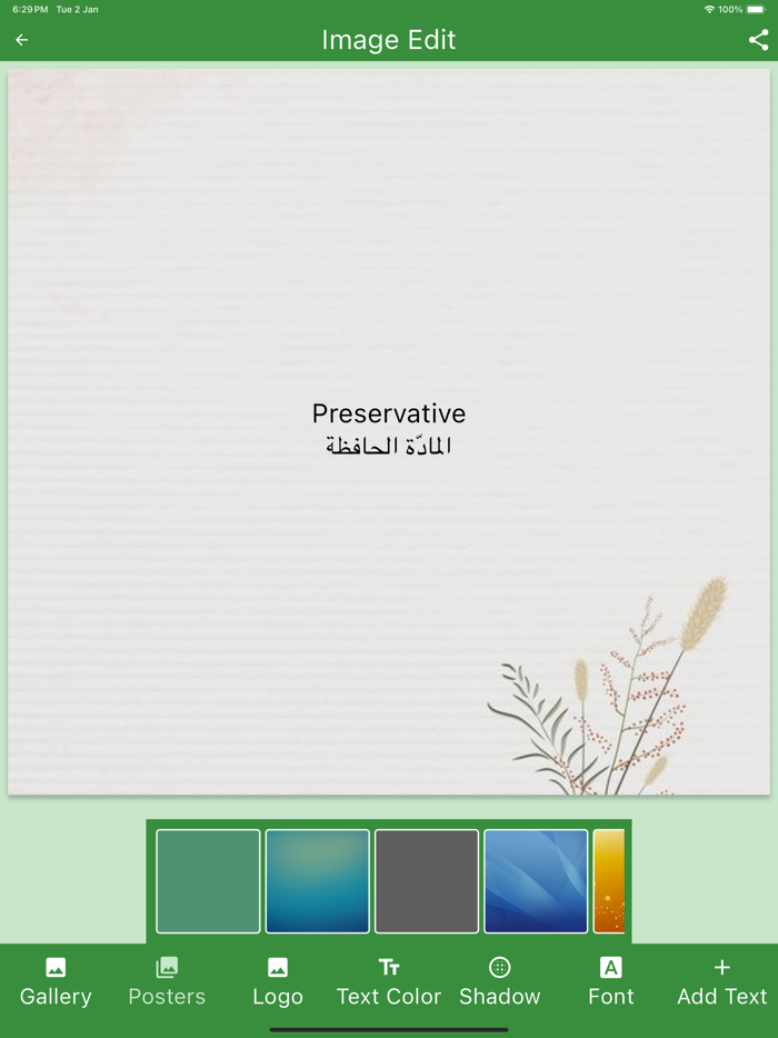 English Arabic Dictionary Quiz