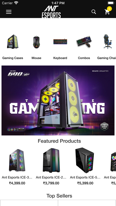 Ant Esports Screenshot