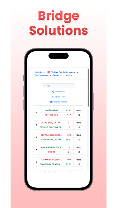 Bridge Solutions Screenshot