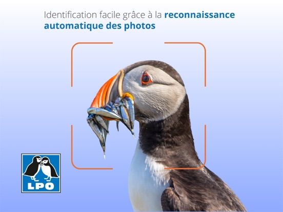 Ois'App - Oiseaux de France iPad screenshot 2 - Reference app