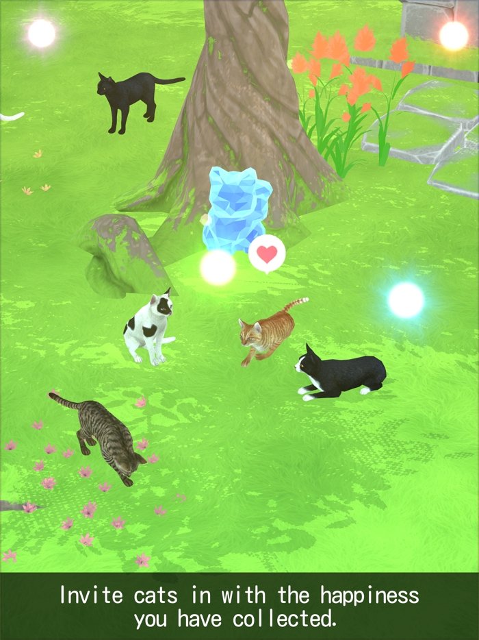 Cat Secret Forest