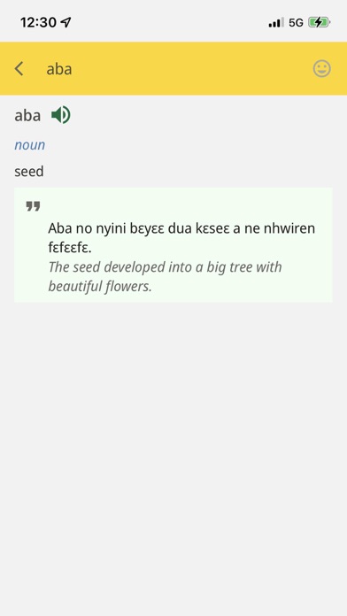 Akan-English Dictionary Screenshot