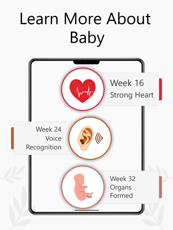 Pregnancy Tracker Week by Week iPad screenshot 5 - Medical app