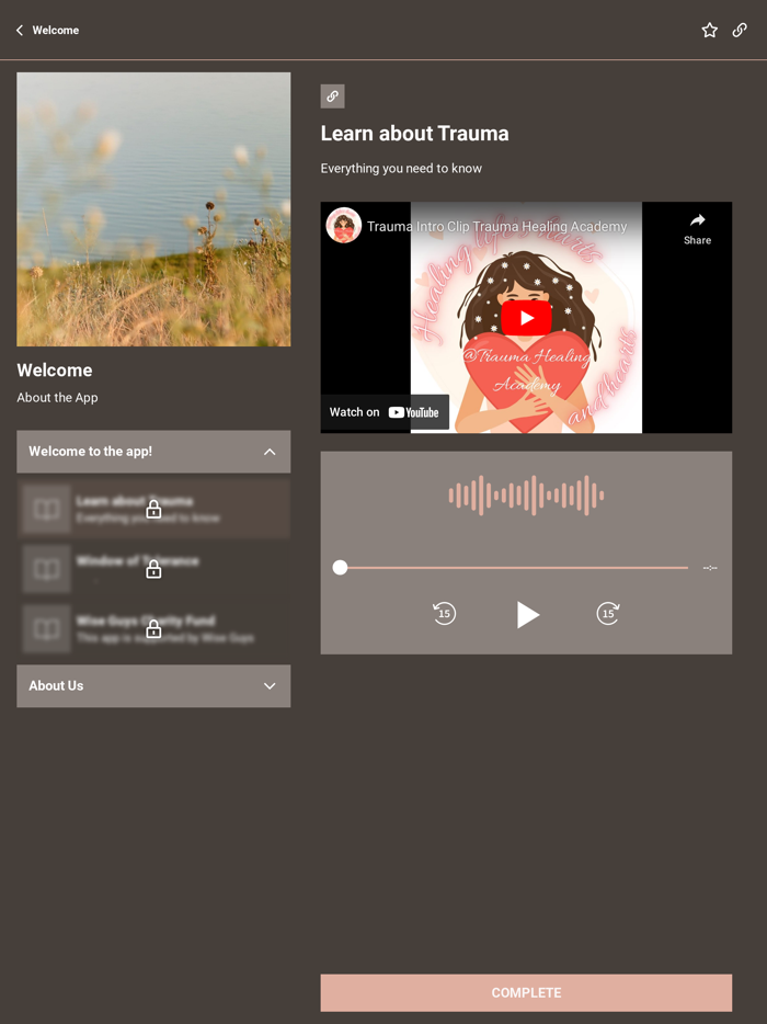 Trauma Healing Academy