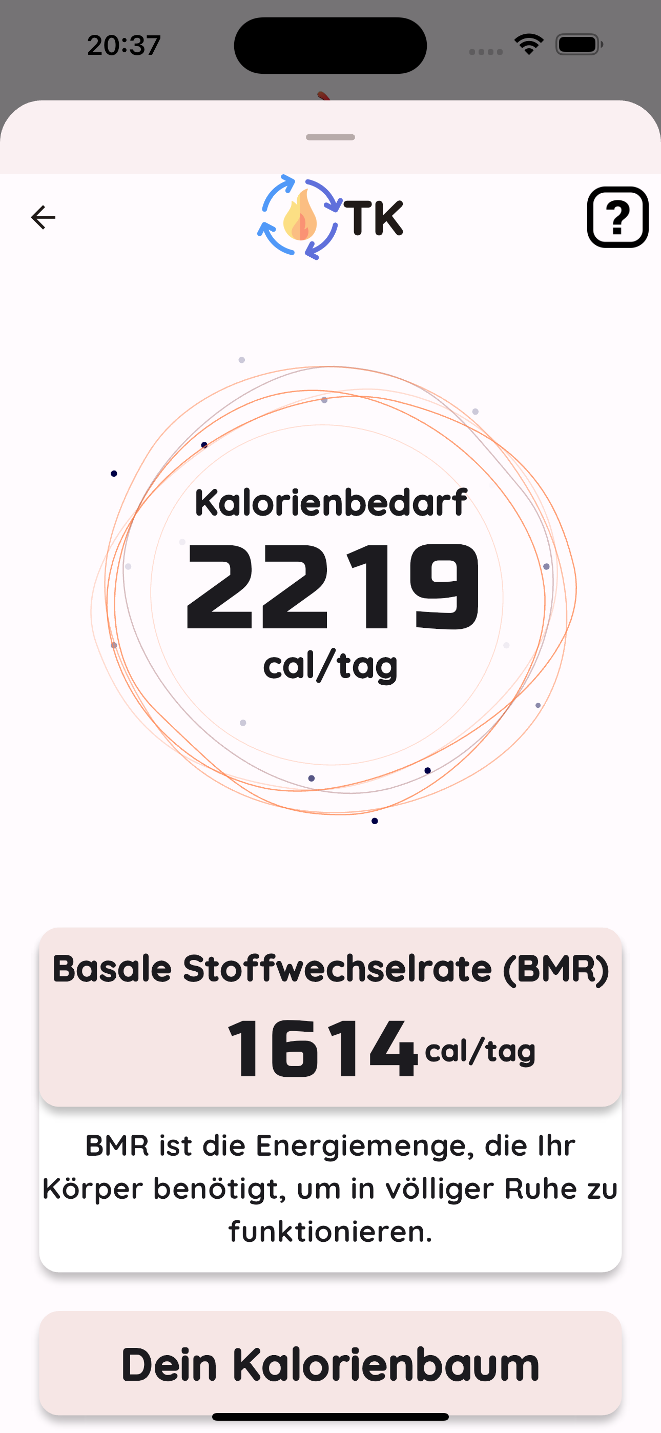 Healthy Tracker Erinnerung
