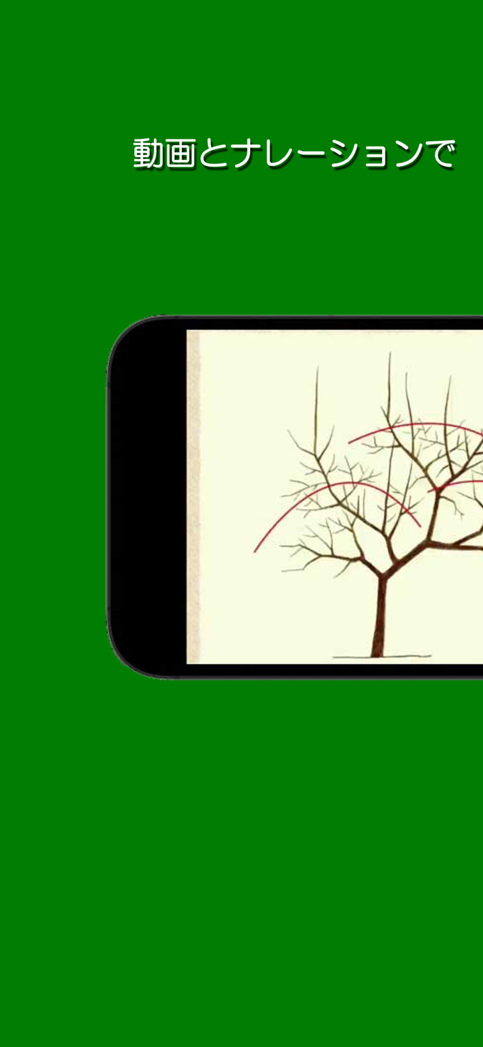 樹形式剪定教室 花木編 基礎