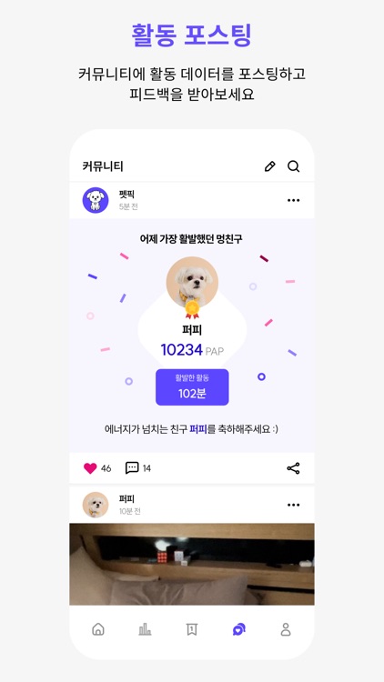 퍼피플레이 (PuppyPlay) screenshot-6