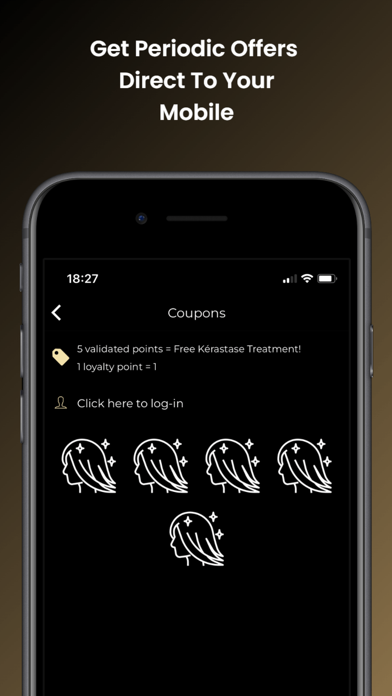 Charlie Miller Hairdressing Screenshot