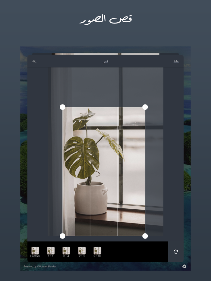 المصمم الشامل - كتابة و تصميم