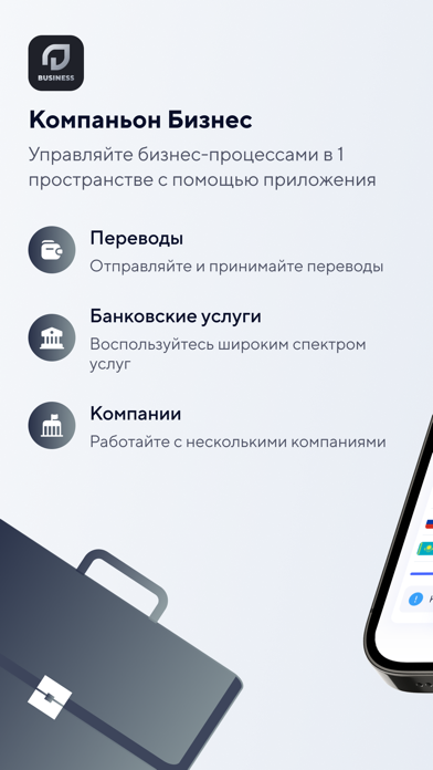 Kompanion Business Screenshot