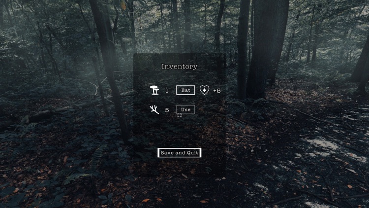 The Holyburn Witches