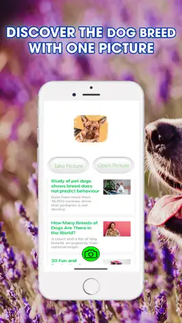 Game screenshot Dog Breeds Identifier mod apk