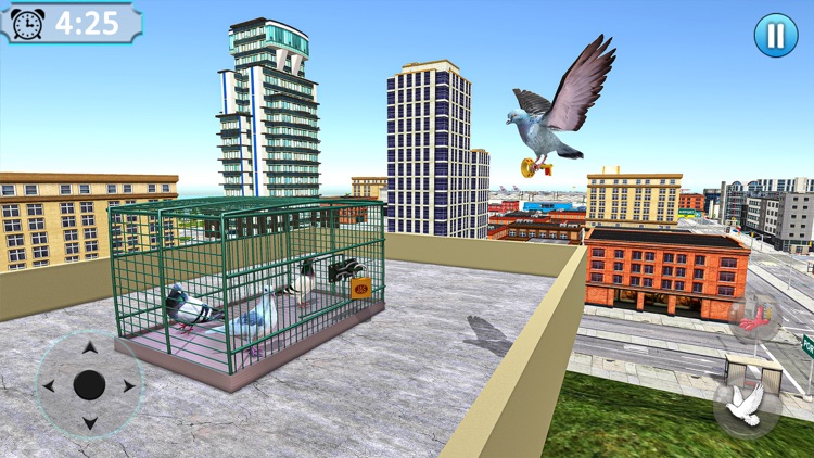 Pigeon Bird Flying Game Sim 3D
