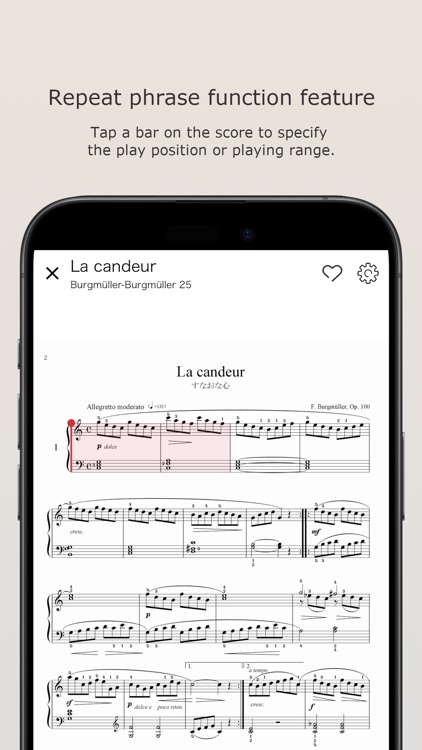 PiaBookPlayer