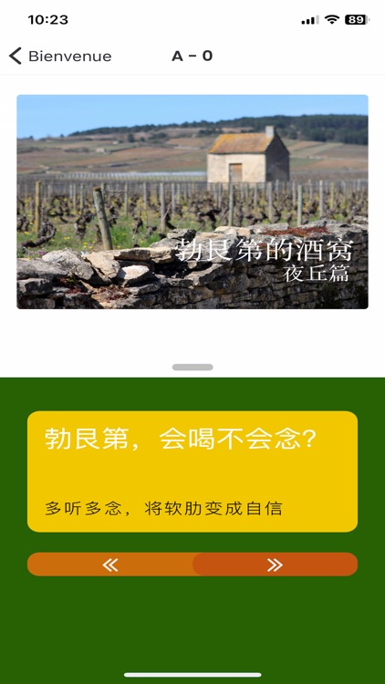 勃艮第的酒窝 Vins de Bourgogne screenshot-3