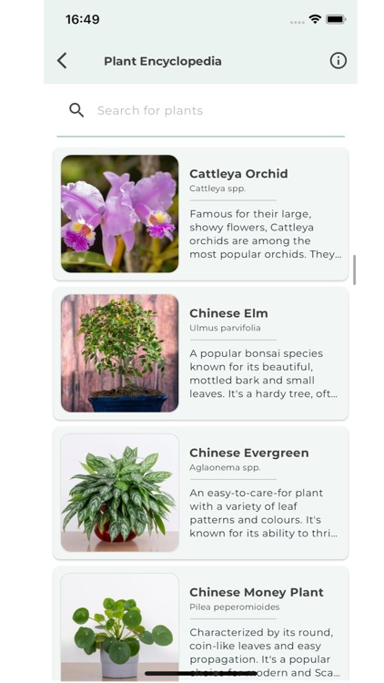 Planter: Houseplant care