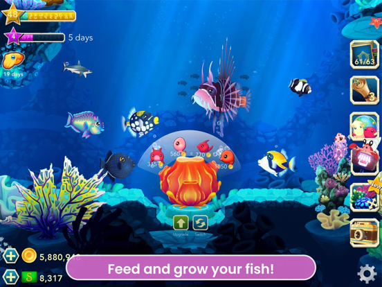 Splash: Fish Sanctuary iPad app afbeelding 3