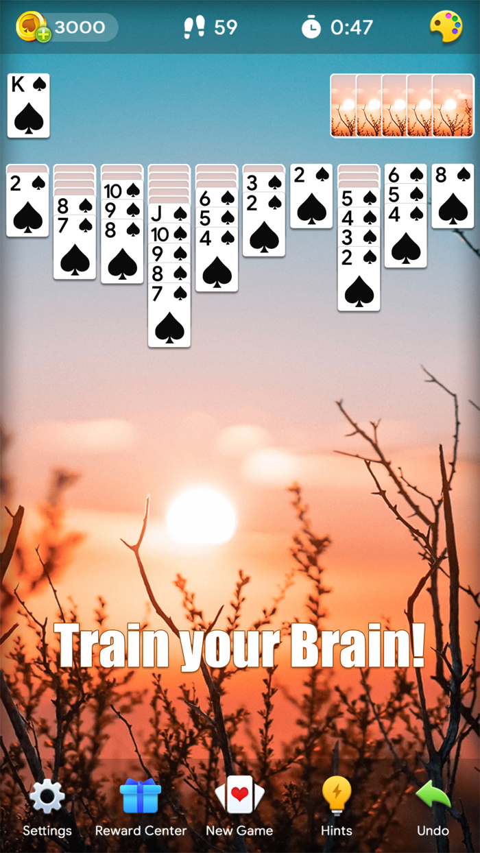 Spider Solitaire -- Card Game