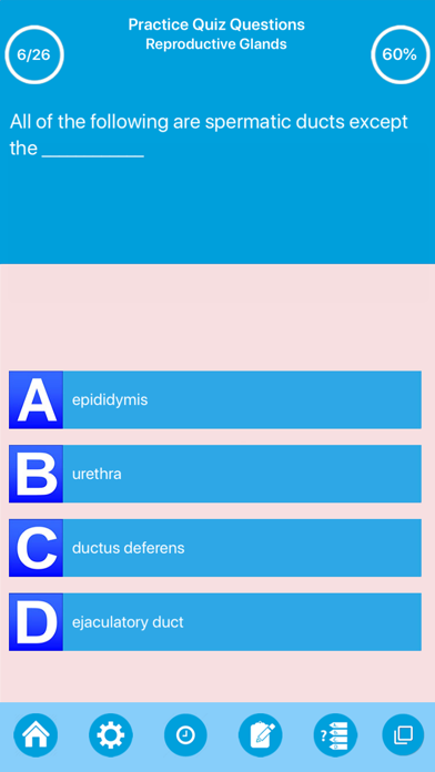 Male Reproductive System Screenshot