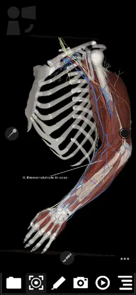 Game screenshot 3Dissect Upper Limb mod apk