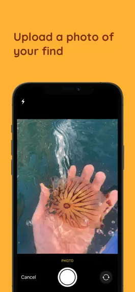 Game screenshot Jelly Spotter by GoJelly apk