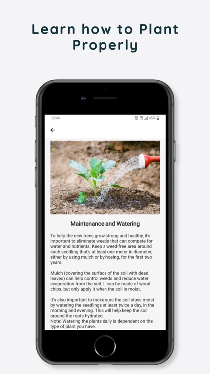 Green Ghana screenshot-3