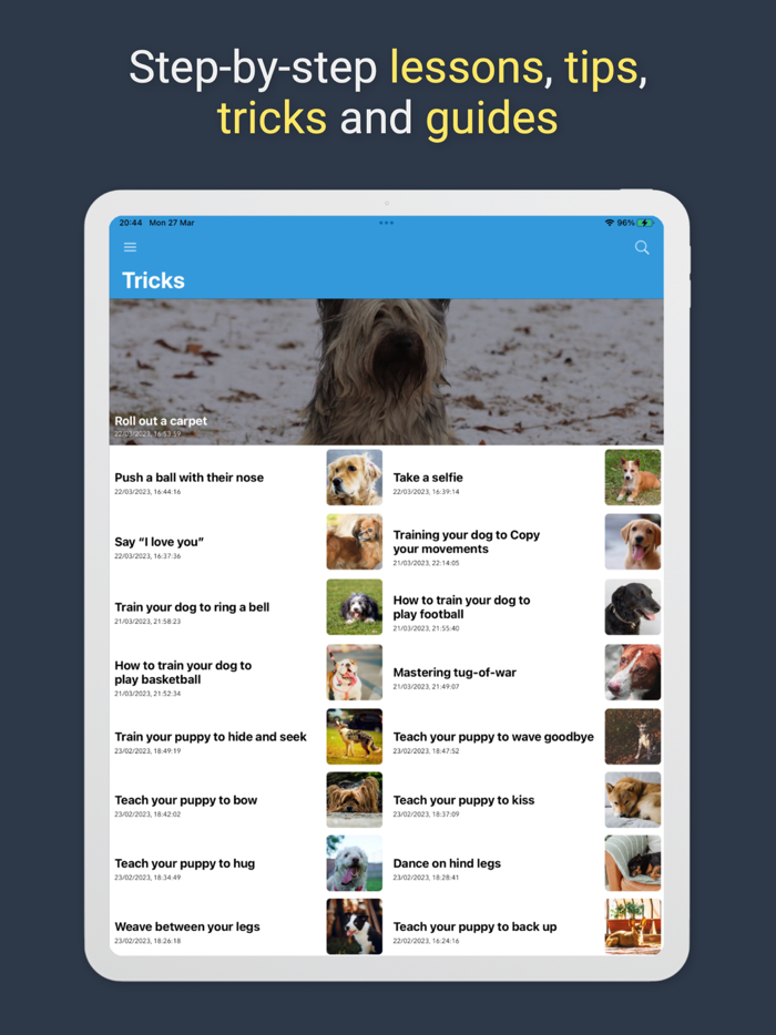 Pawfect Life - Puppy Training