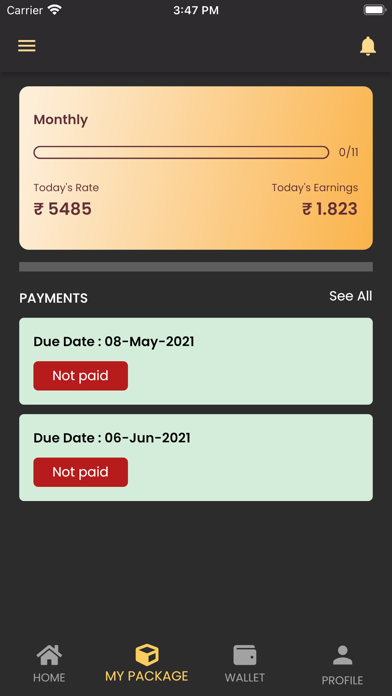 Saleena Gold Flash Screenshot