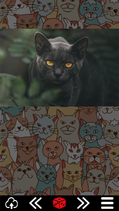 Cat.alogue Screenshot
