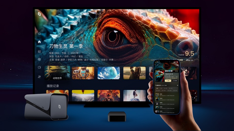 #2. 极空间TV (iOS) 由: Beijing Zentraedi Intelligence Information Technology Co.,Ltd