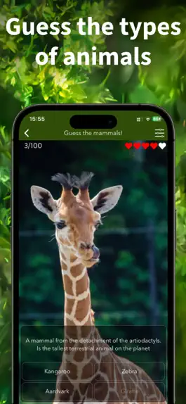 Game screenshot Animal Kingdom - The Zoo Quiz hack