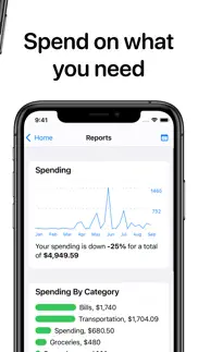 openbudget - budget and save iphone screenshot 3