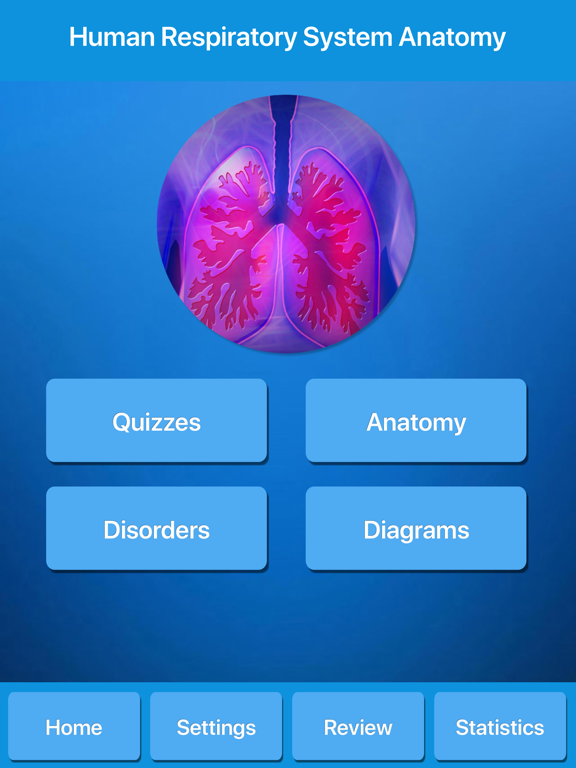 Screenshot #4 pour Respiratory System Anatomy