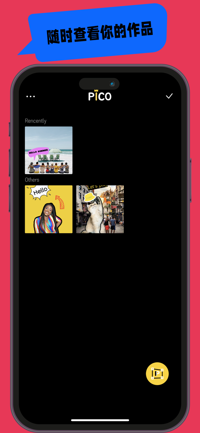 PICO - Picture is so cool