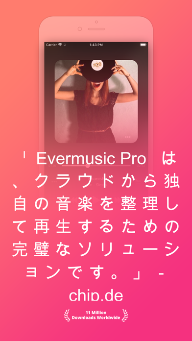 Evermusic Pro: 音楽のダウンロード screenshot1