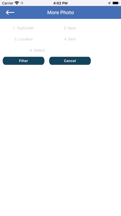 Bridge Inspection (BI) App screenshot-7