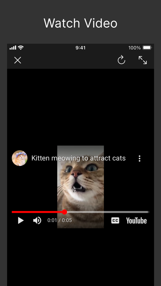 #2. UTube Embed Player (iOS) 由: Nobutaka Yuasa