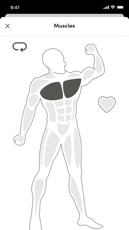 Van Os Coaching screenshot-3