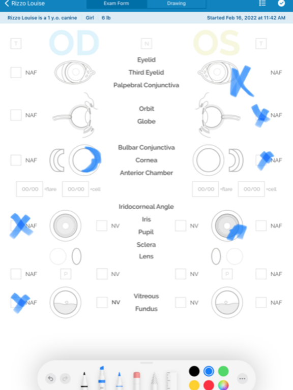 WINK - A Vet Practice App iPad screenshot 4 - Medical app