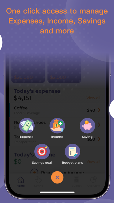 IFEC Money Tracker Screenshot