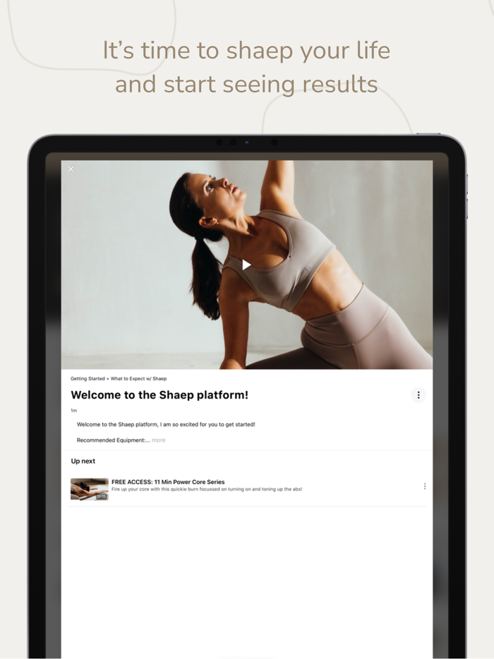 shaep by Kelsey Rose